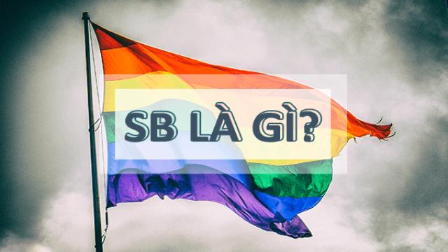 SB là gì? SB nghĩa là gì trong tiếng Anh và LGBT